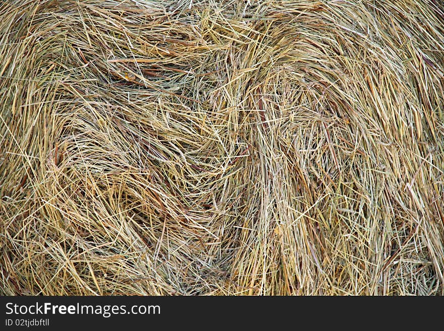 Natural background in brown colors