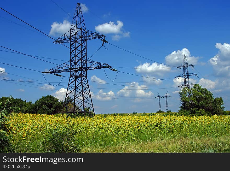 High-voltage wires are placed over a field of sunflowers. High-voltage wires are placed over a field of sunflowers