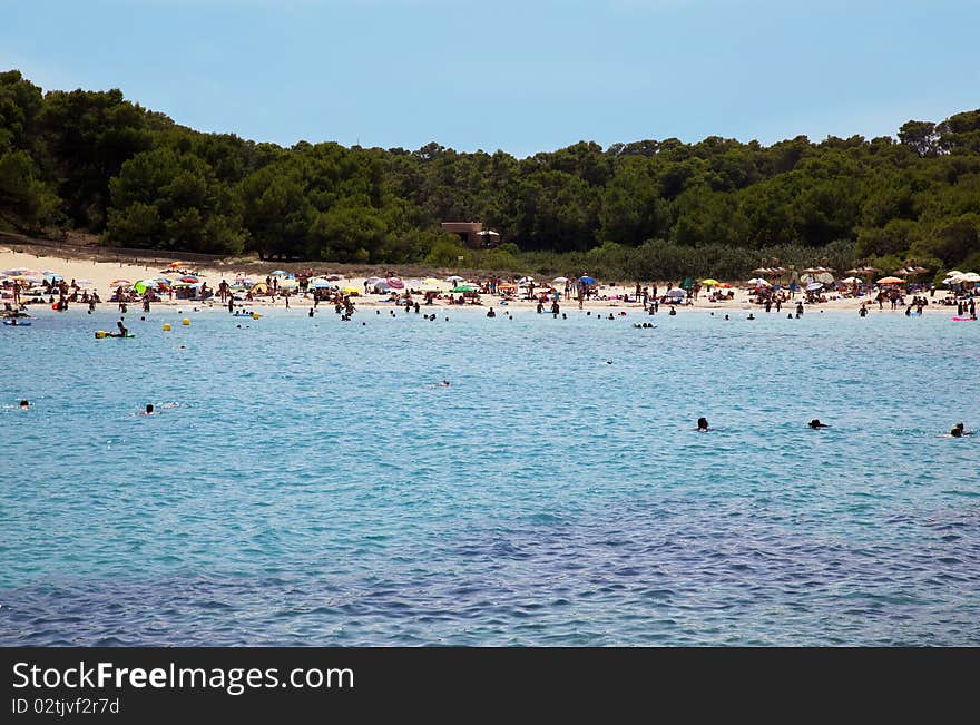 Sea Beach With Swimming People