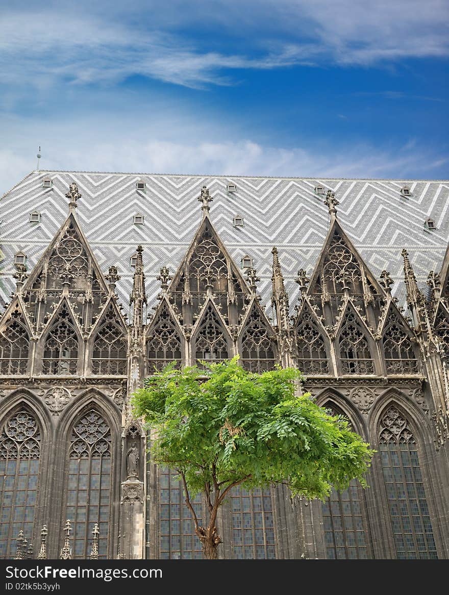 Fragment of St. Stephen's Cathedral on Stephansplatz. Austria, Vienna. Fragment of St. Stephen's Cathedral on Stephansplatz. Austria, Vienna.