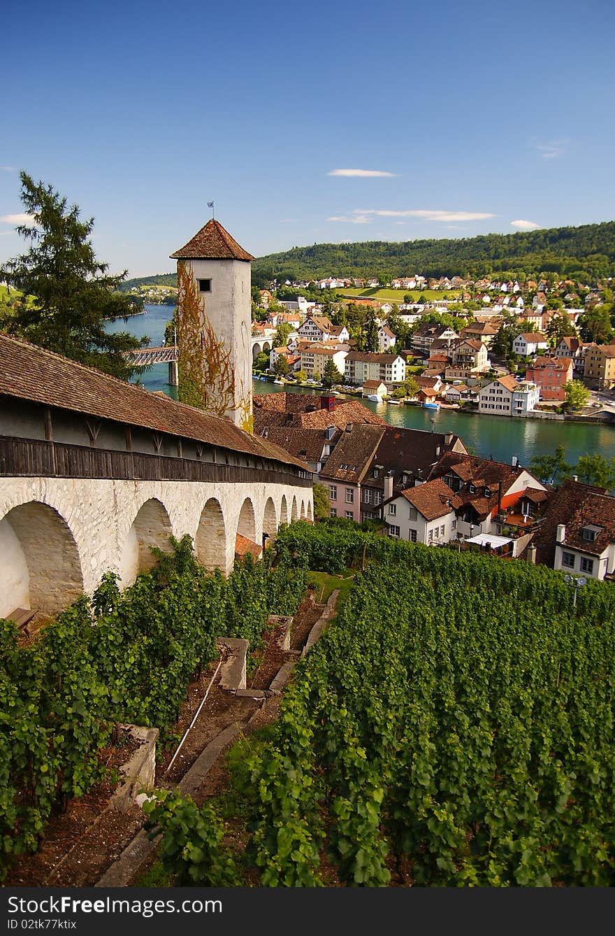 Way in vineyeard to Munot in Schaffhausen. Way in vineyeard to Munot in Schaffhausen