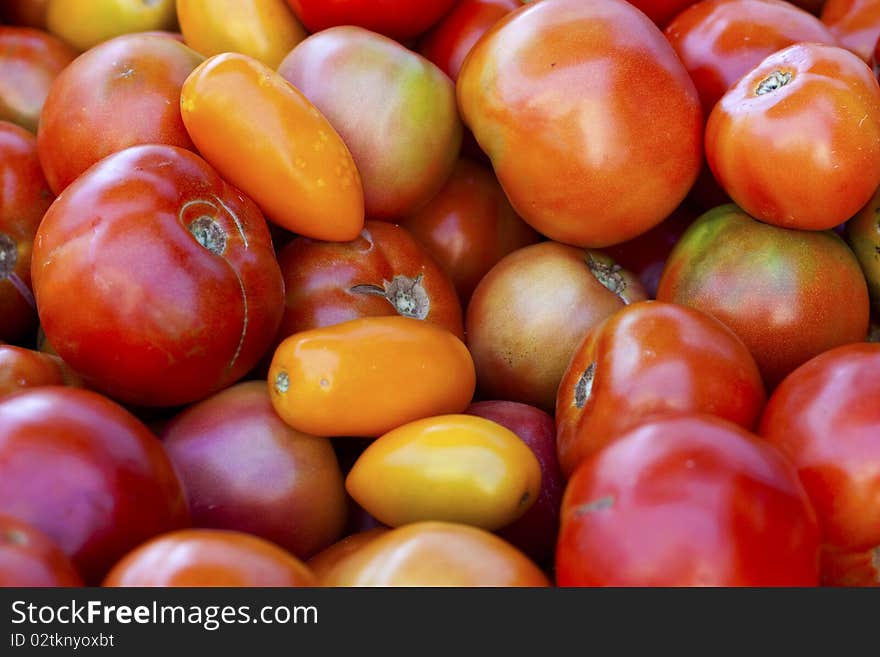 A hip of different types of tomatoes on the farmer's market