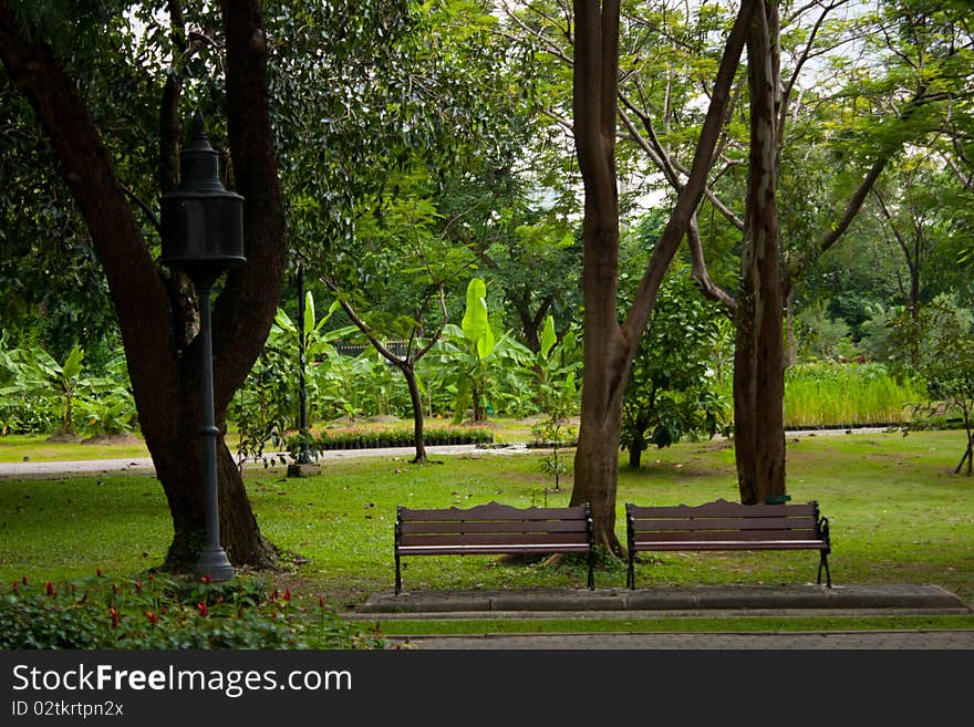 Two bench under tree