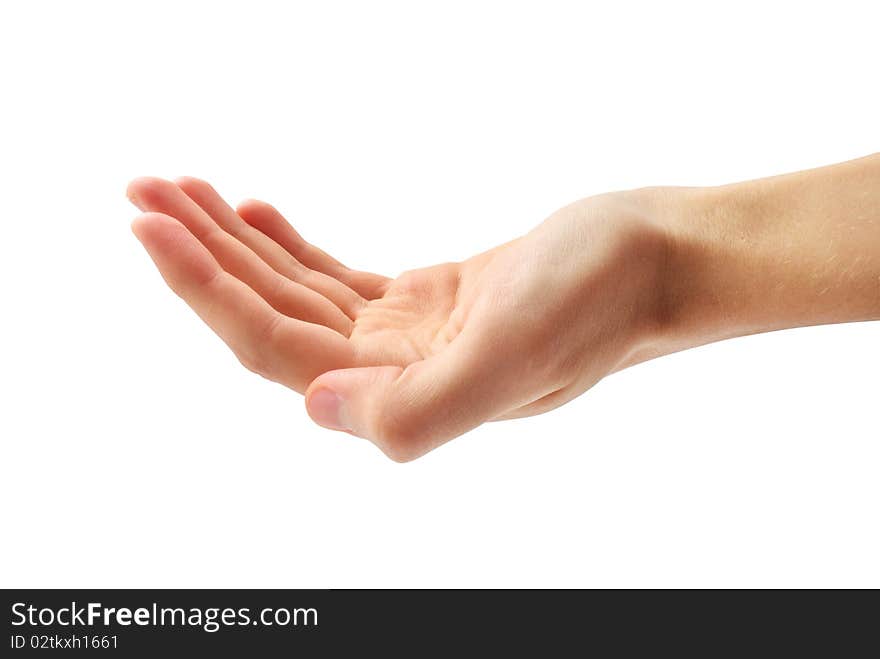 Human Hand