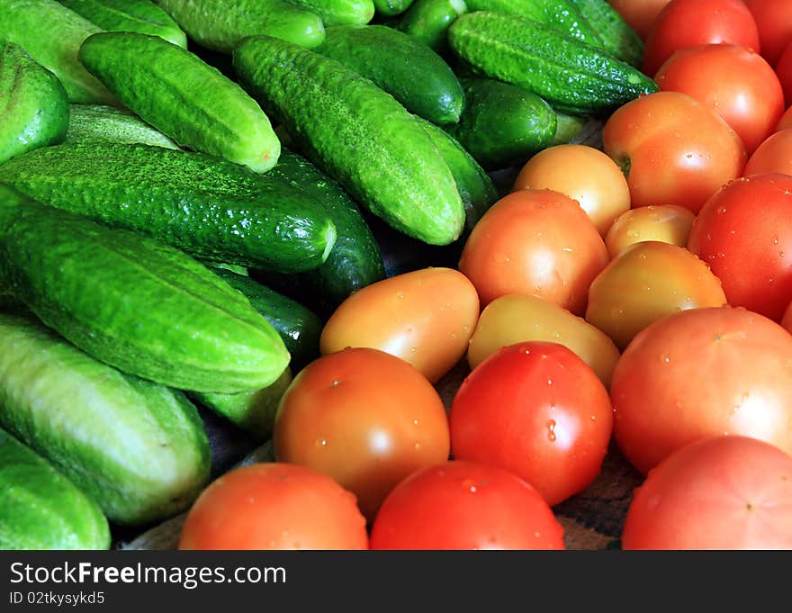 Green cucumber and red tomatoes. Green cucumber and red tomatoes