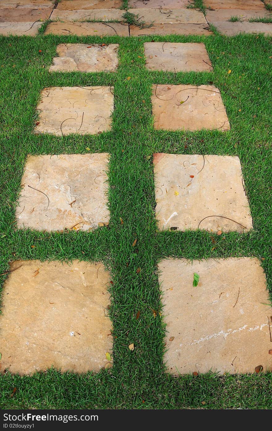 Stone way in green grass.