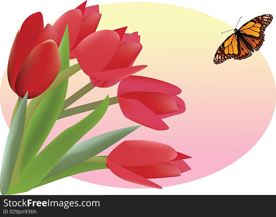 Bouquet of red tulips with little butterfly