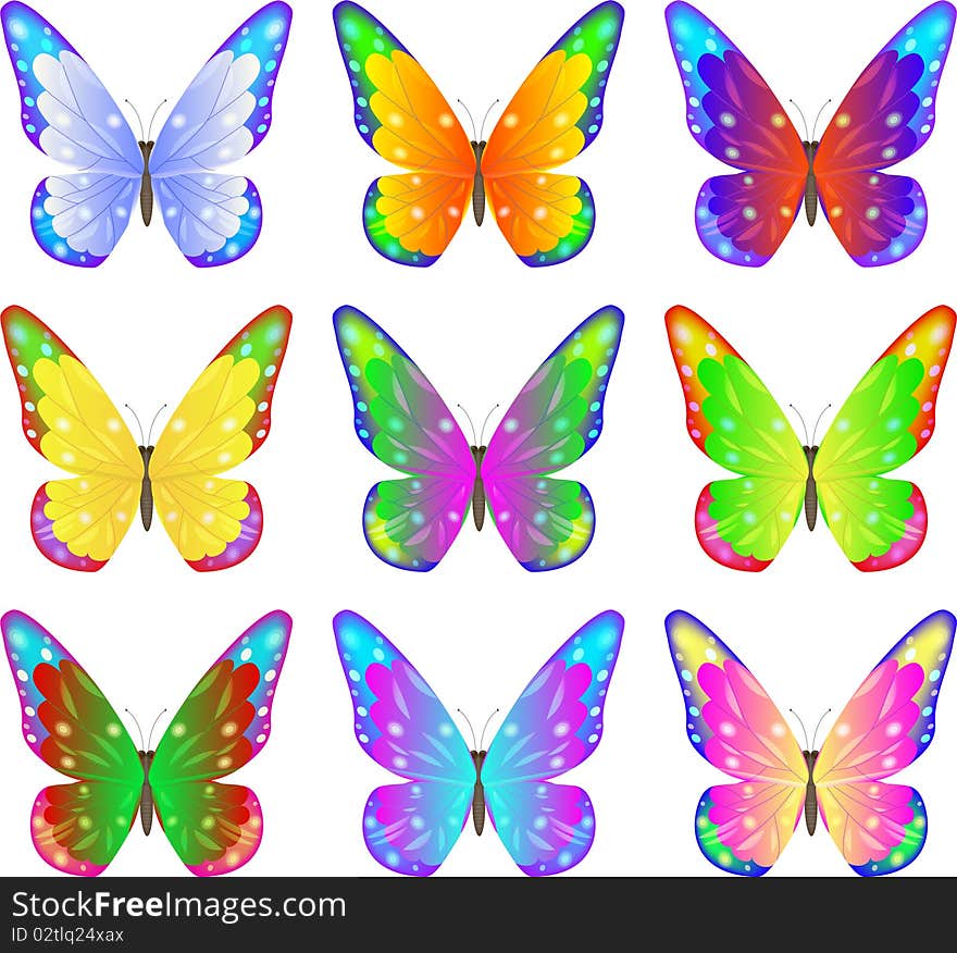 Collection color butterflyes