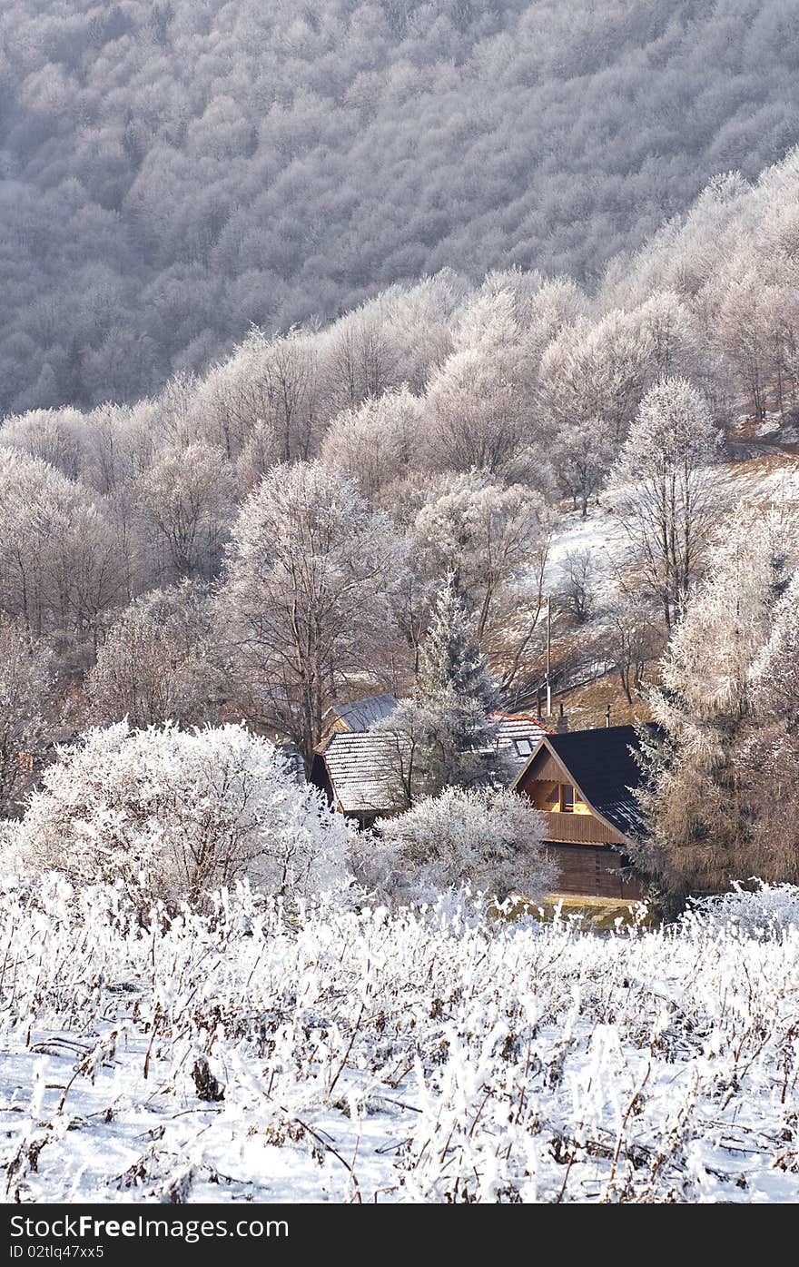 Willage in the middle of winter forest