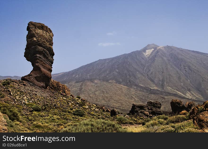 Rock tree and view on Teide, Tenerife, Spain.