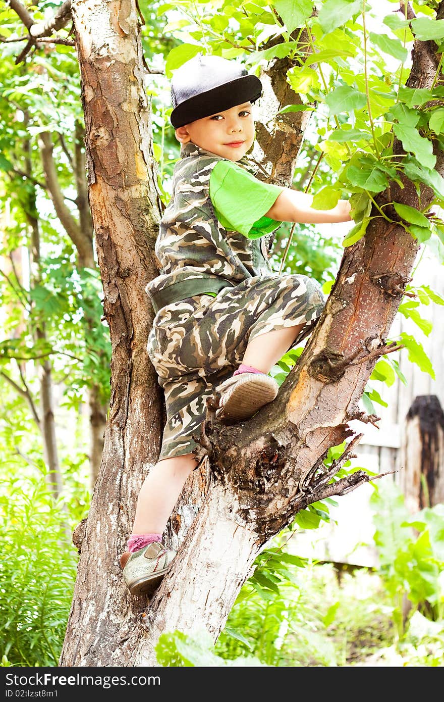 Little boy climbed a tree