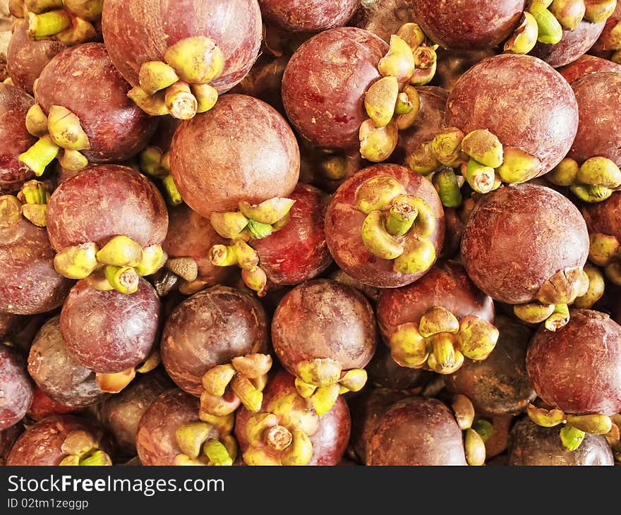 Mangosteen