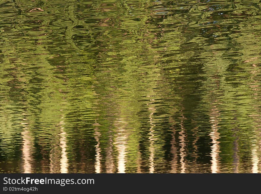 Green reflection of forest on the other side of river