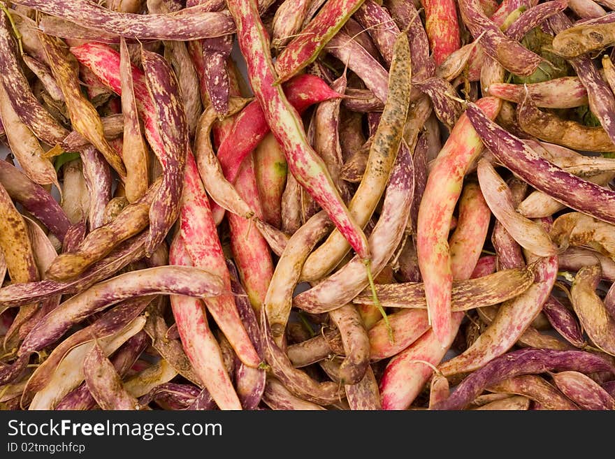 Colored kidney bean on white background. Colored kidney bean on white background.