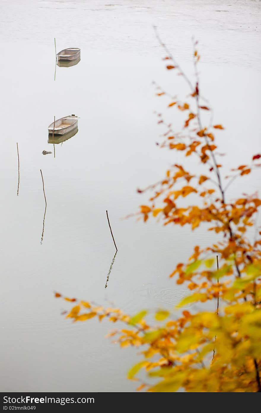 Autumnal pond in Czech Republic