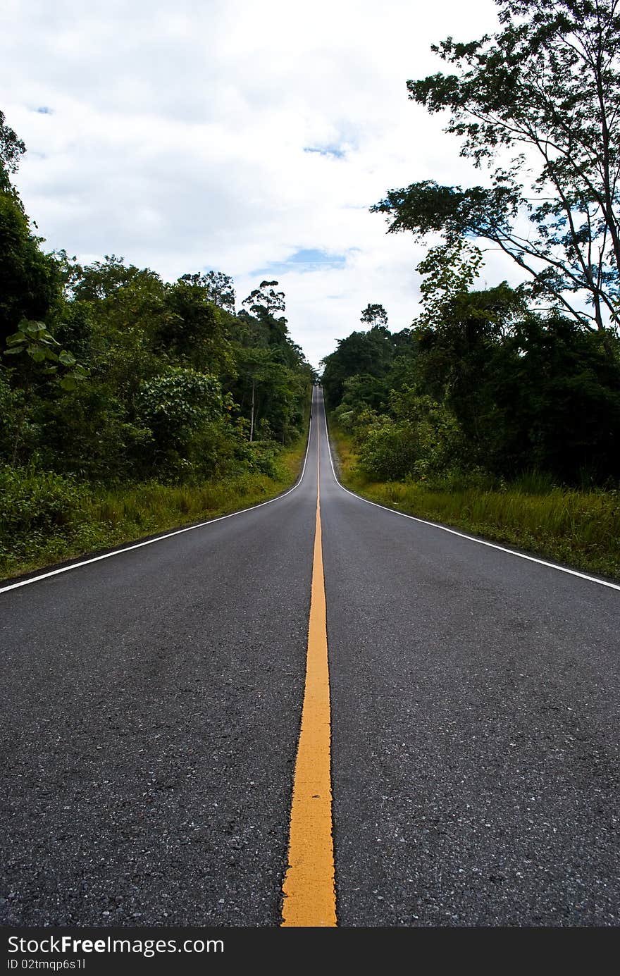 Its a long  road with green of tree