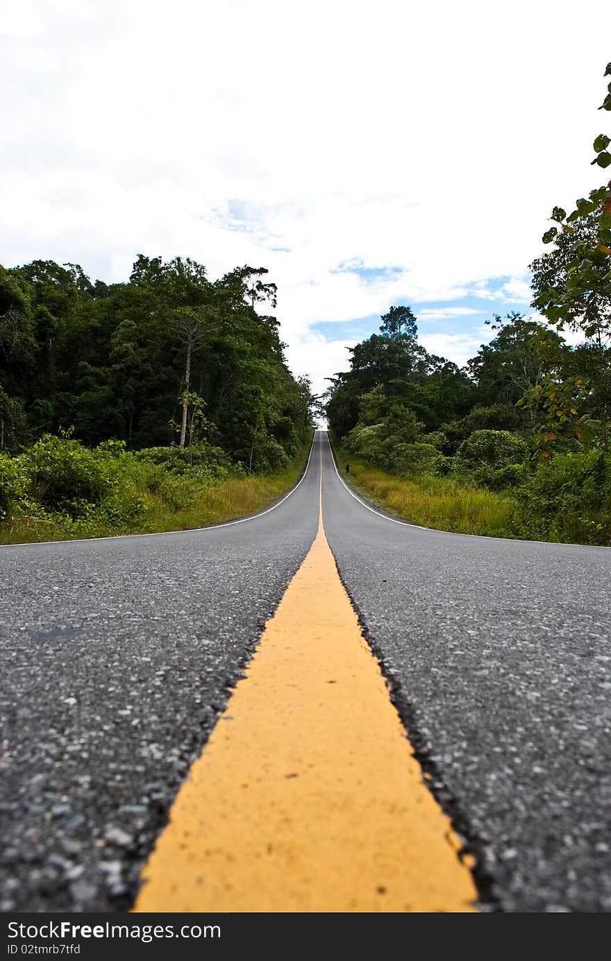 Its a long  road with green of tree