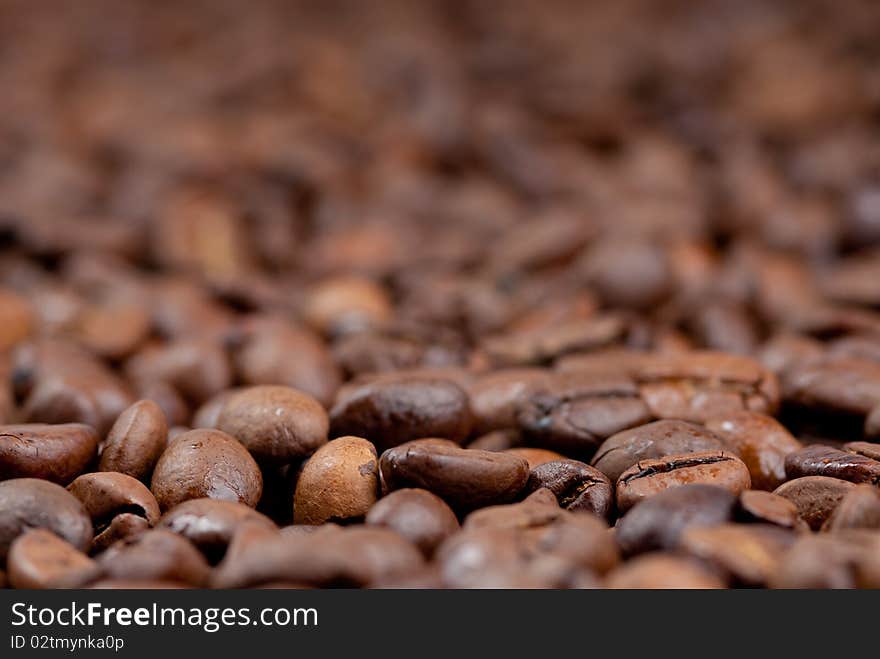 Coffee beans detail