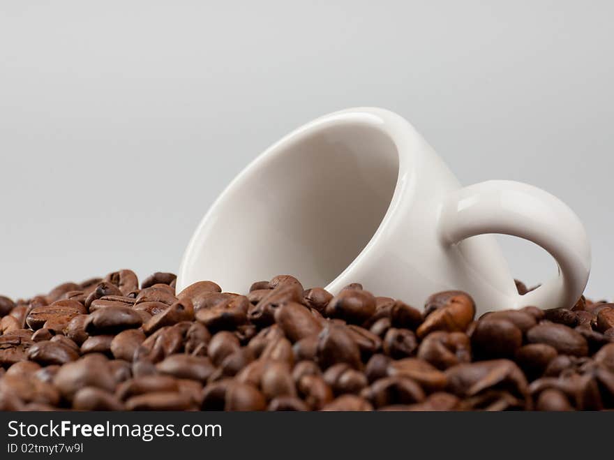 White Cup In Coffee Beans