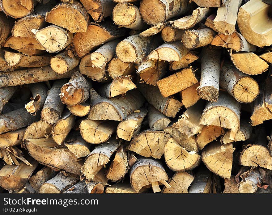 Wood pile after trees have been felled