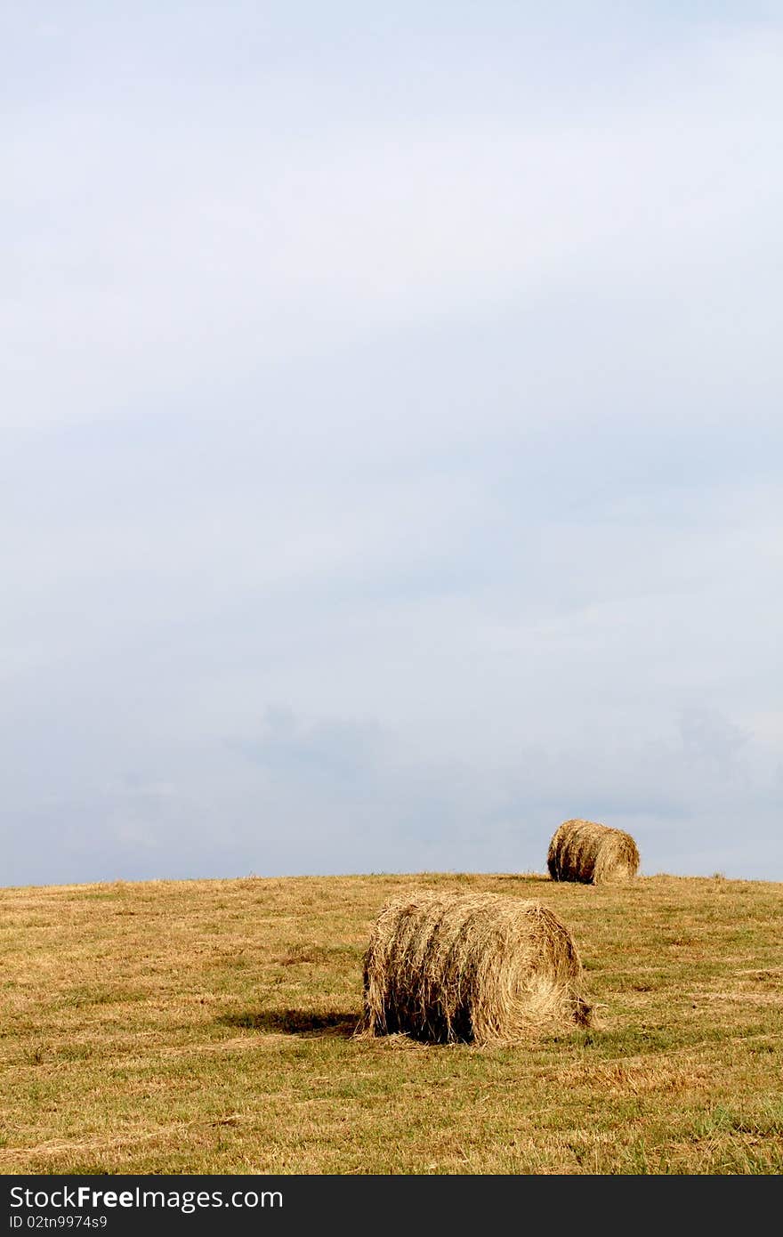 Hay In Field