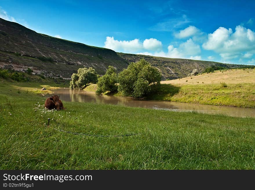 Picturesque landscape with river, orhey