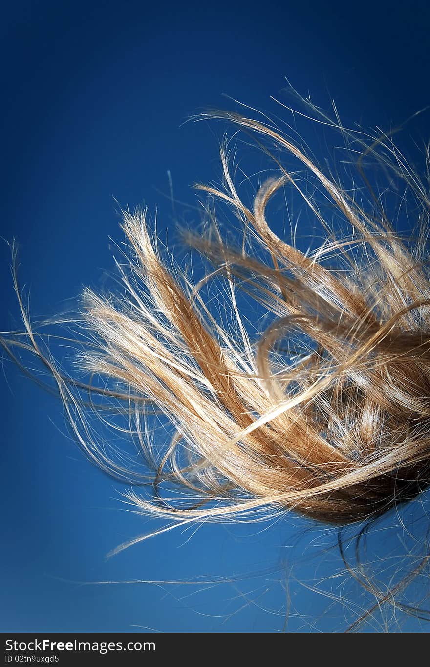 Abstract Hair View