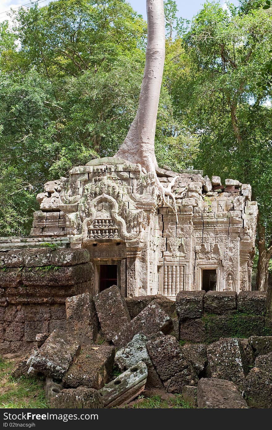 Ta Prohm in Angkor