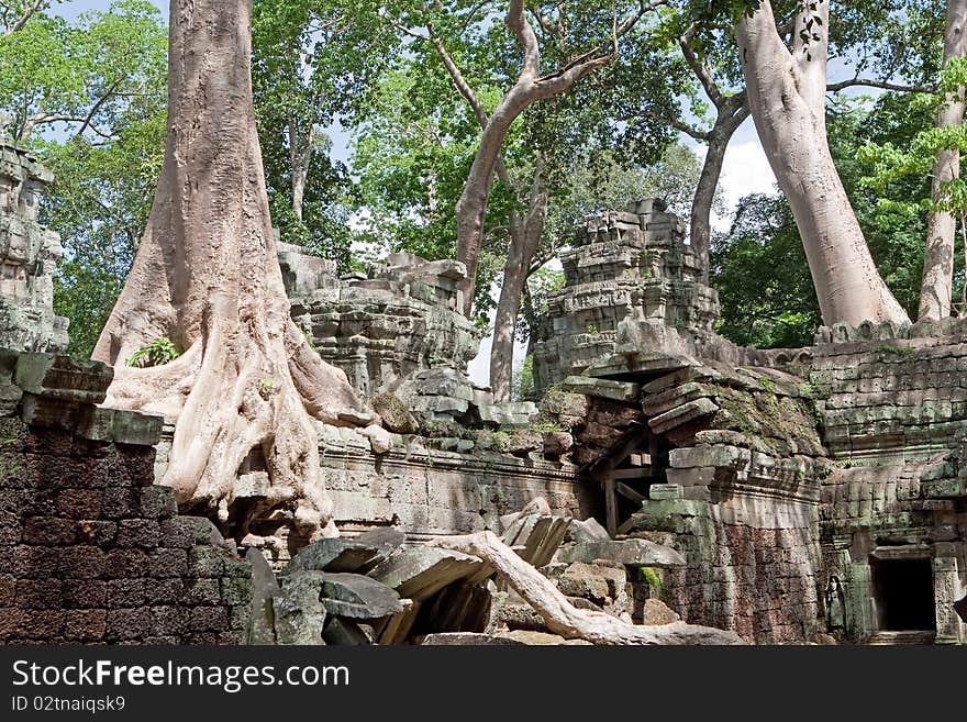 Ta Prohm in Angkor