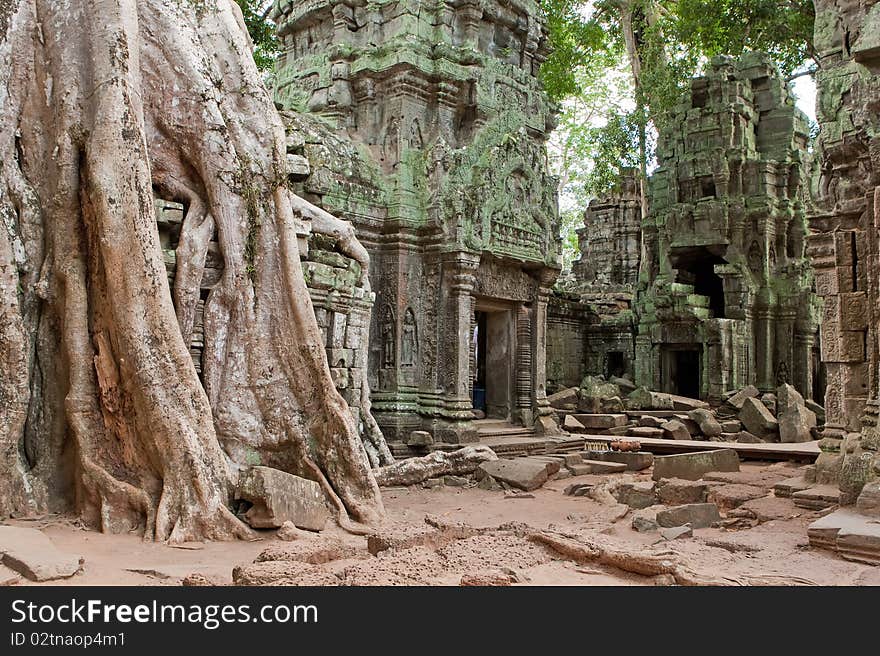 Ta Prohm In Angkor