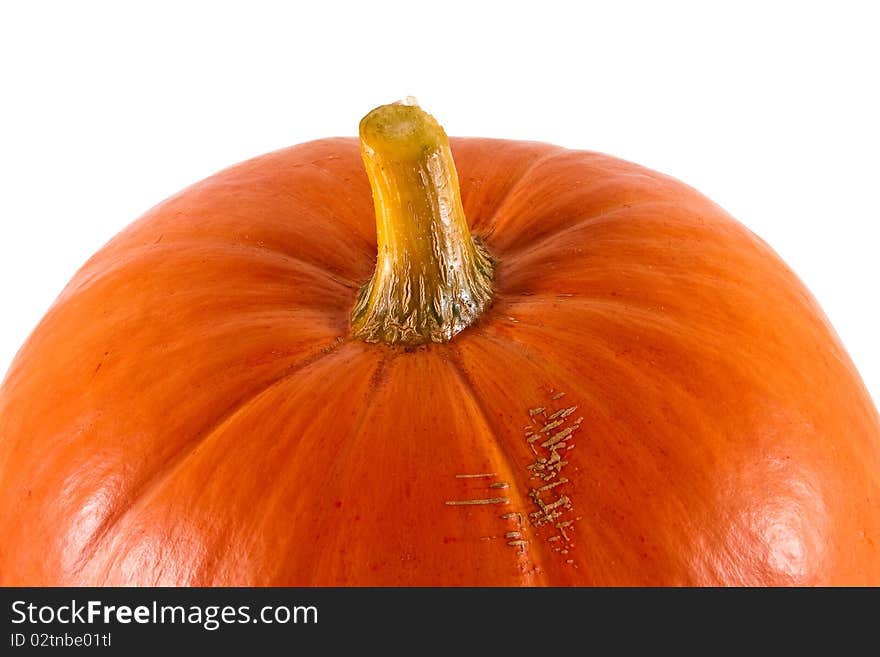 Fragment of large ripe pumpkin