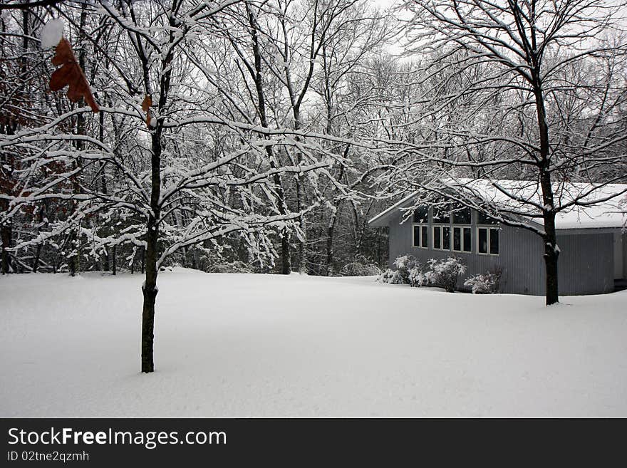 House In Snowy Forest