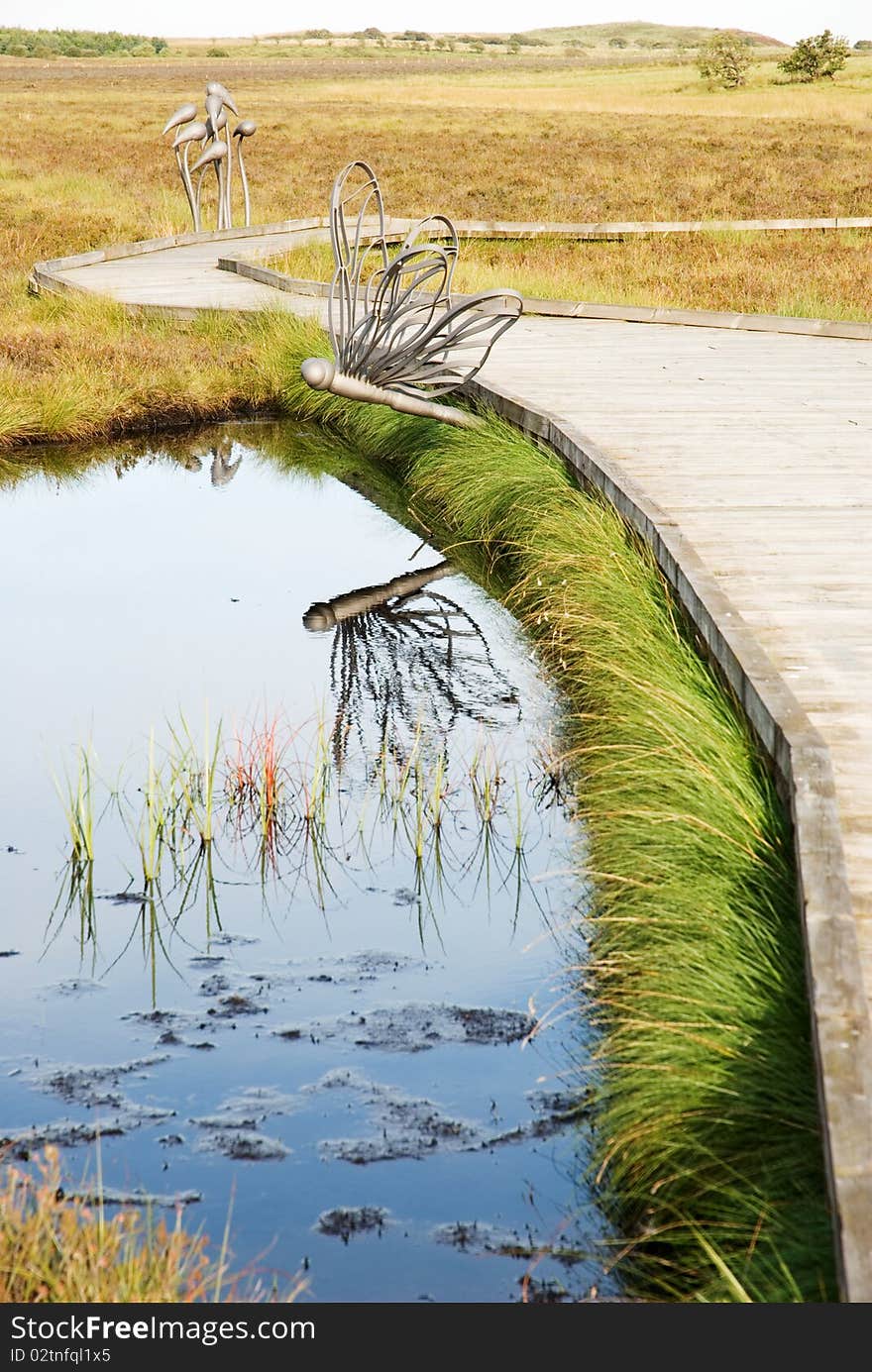 Dragonfly boardwalk