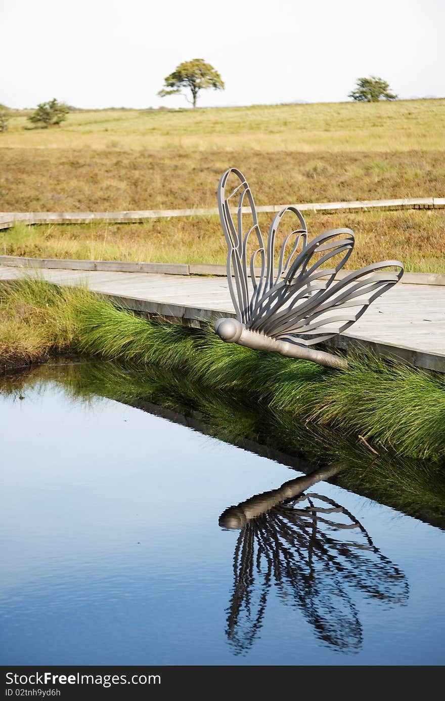 Dragonfly walkway