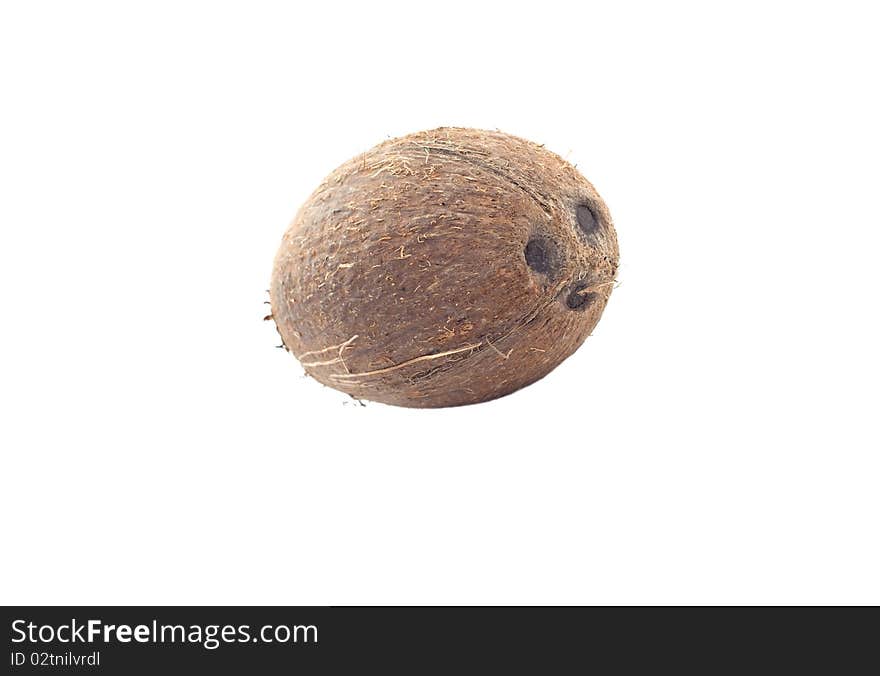 Coconut isolated on white background