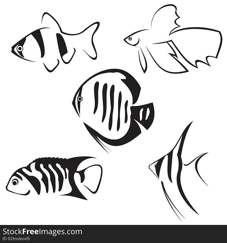 Aquarium fish. Line drawing.