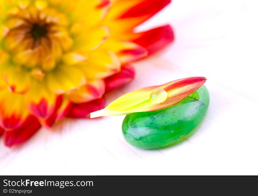 Petal with drop of water and flower in background