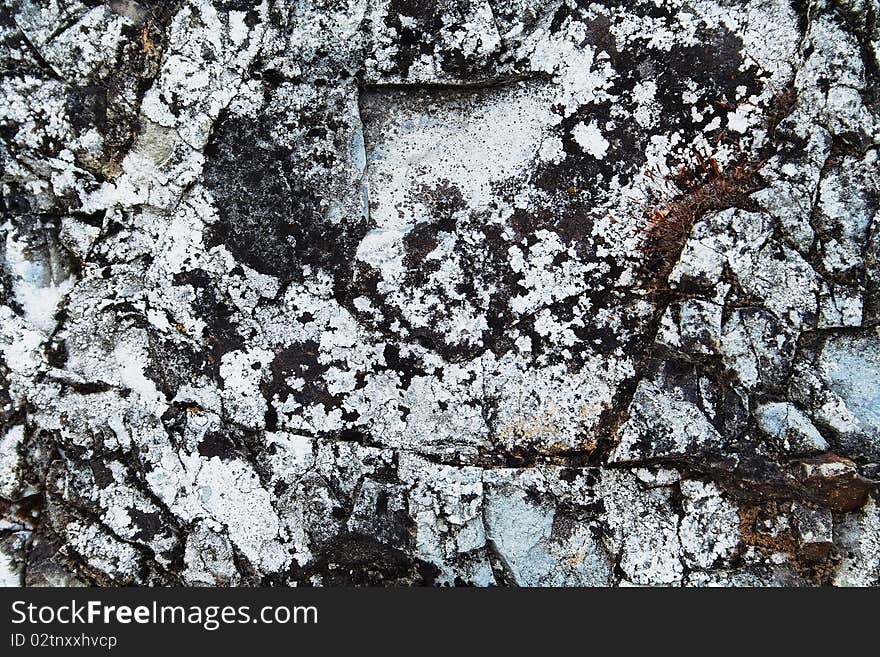 A sample of natural mountain rock texture. A sample of natural mountain rock texture