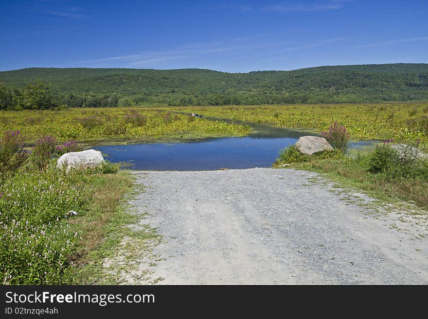 Bashakill Wildlife Management Area on the summer day