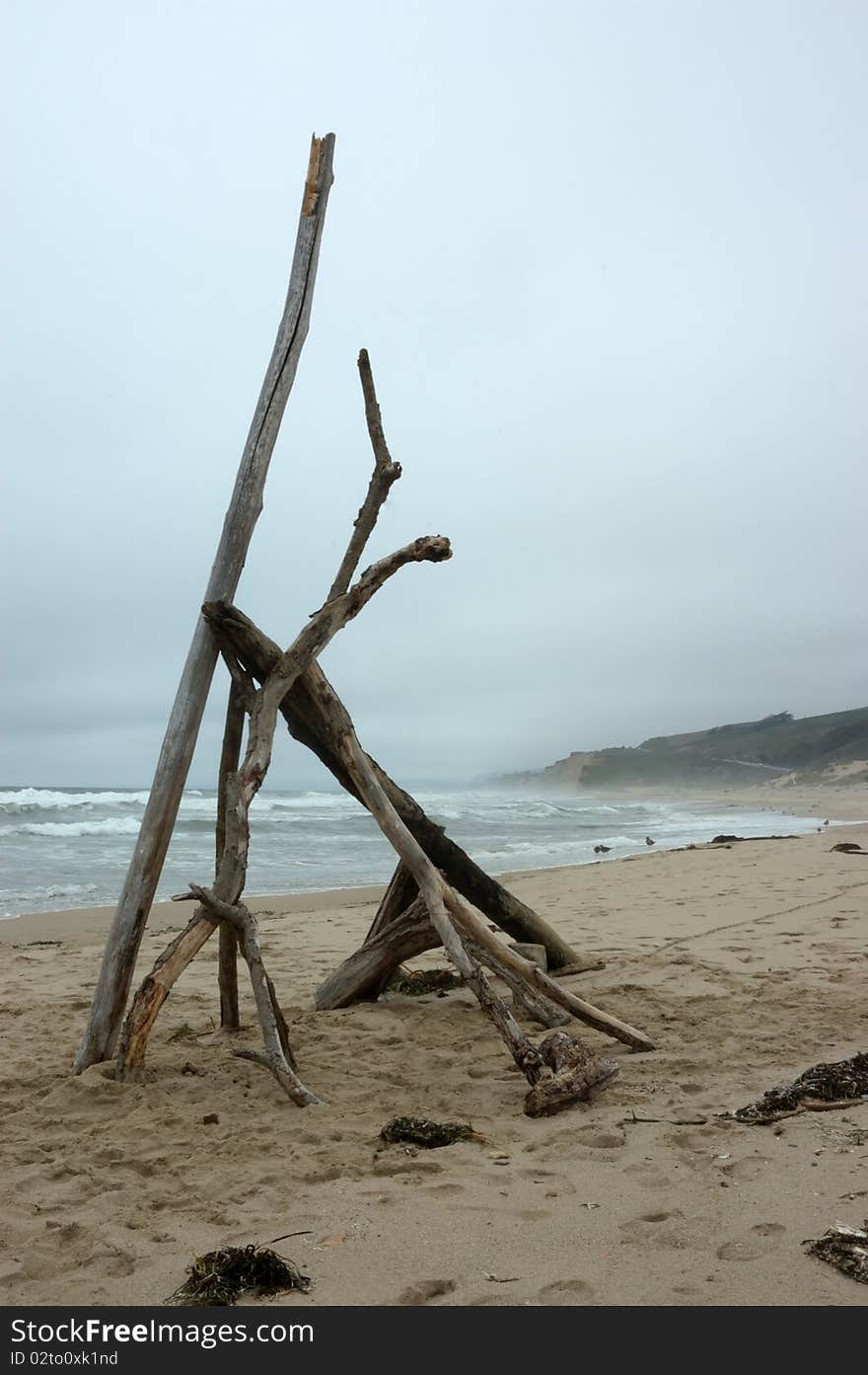 Image of driftwood on beach. Image of driftwood on beach