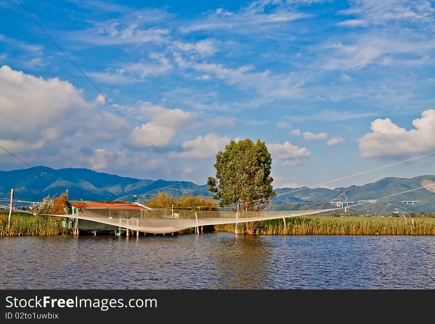 Lake of Massaciuccoli