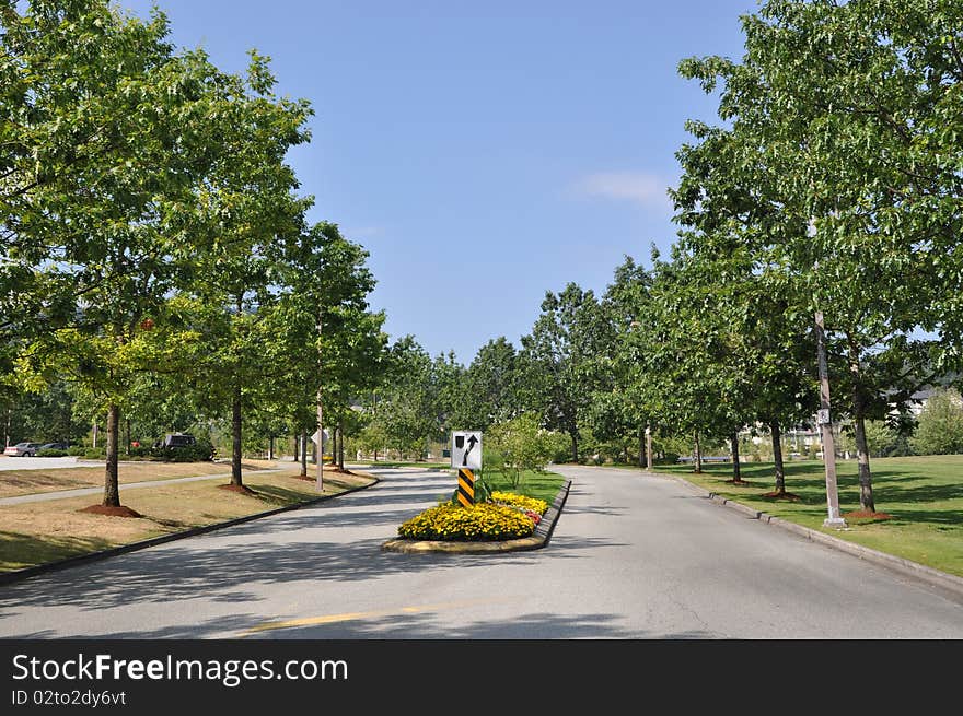 Path Through The Landscaped Park