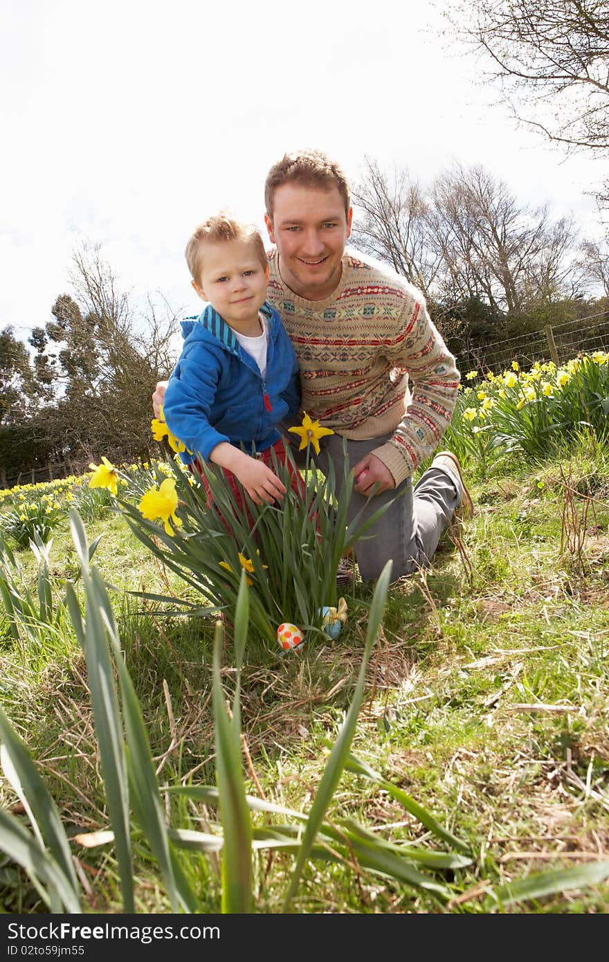 Father And Son On Easter Egg Hunt In Daffodil Field. Father And Son On Easter Egg Hunt In Daffodil Field