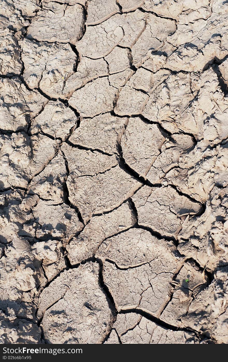 Dry cracked soil