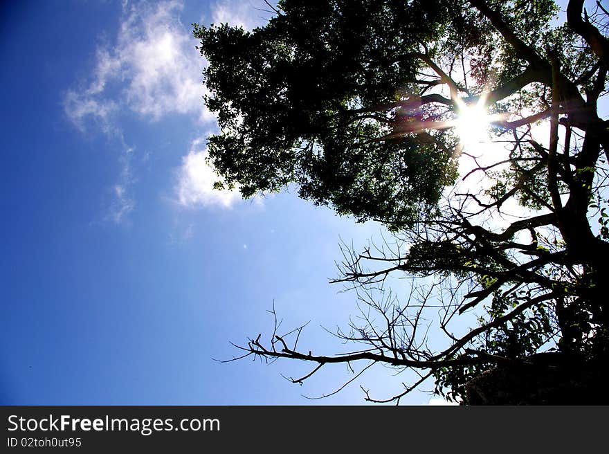 It was taken in Cheung Chau of Hong Kong. It was taken in Cheung Chau of Hong Kong.