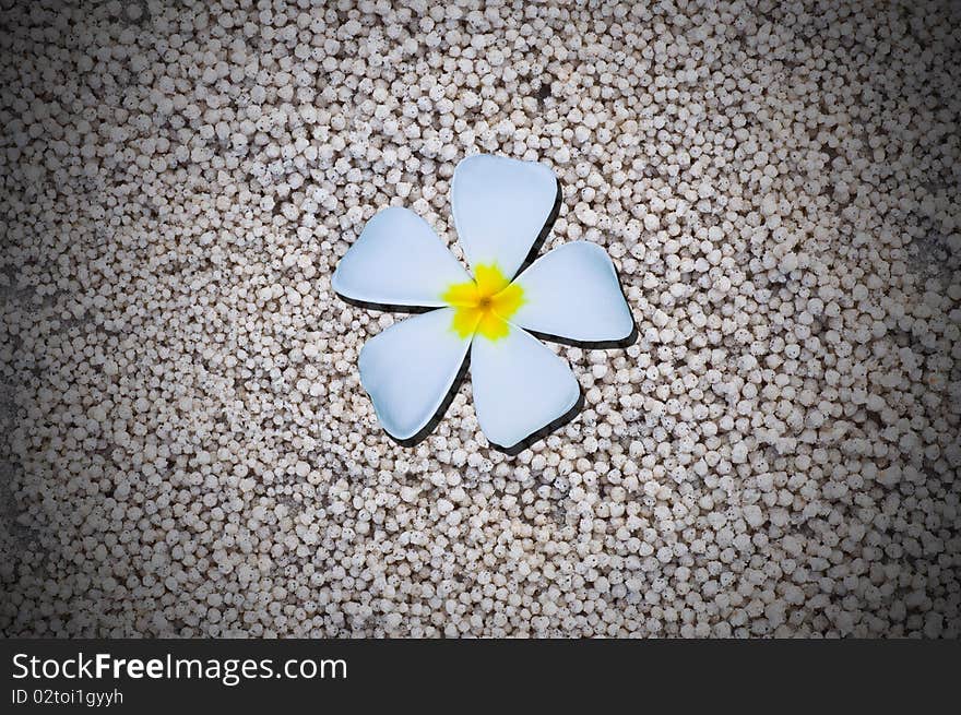 Temple flower on white sand background