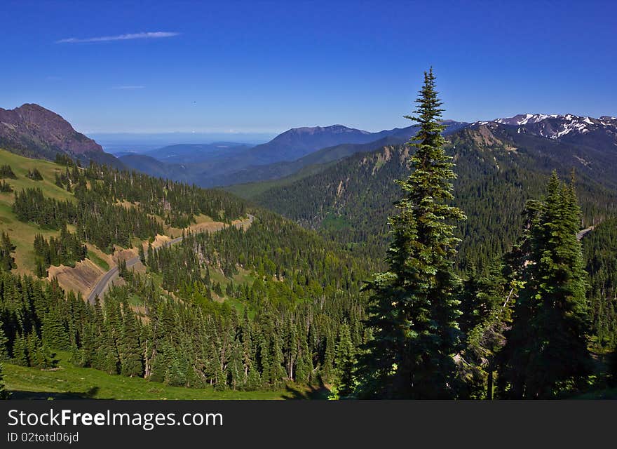 Mountain Landscape at Hurricane Ridge, Olympic National Park, Washington, USA. Mountain Landscape at Hurricane Ridge, Olympic National Park, Washington, USA