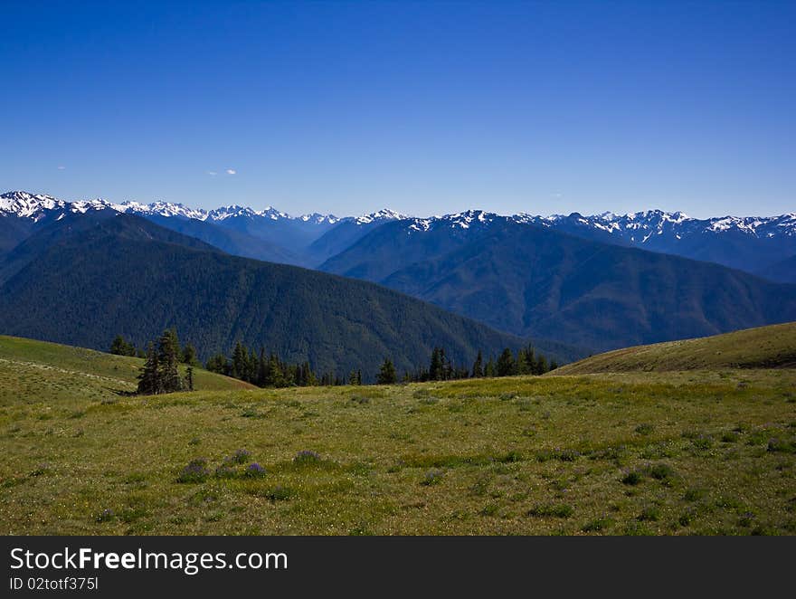 Mountain Landscape at Hurricane Ridge, Olympic National Park, Washington, USA. Mountain Landscape at Hurricane Ridge, Olympic National Park, Washington, USA