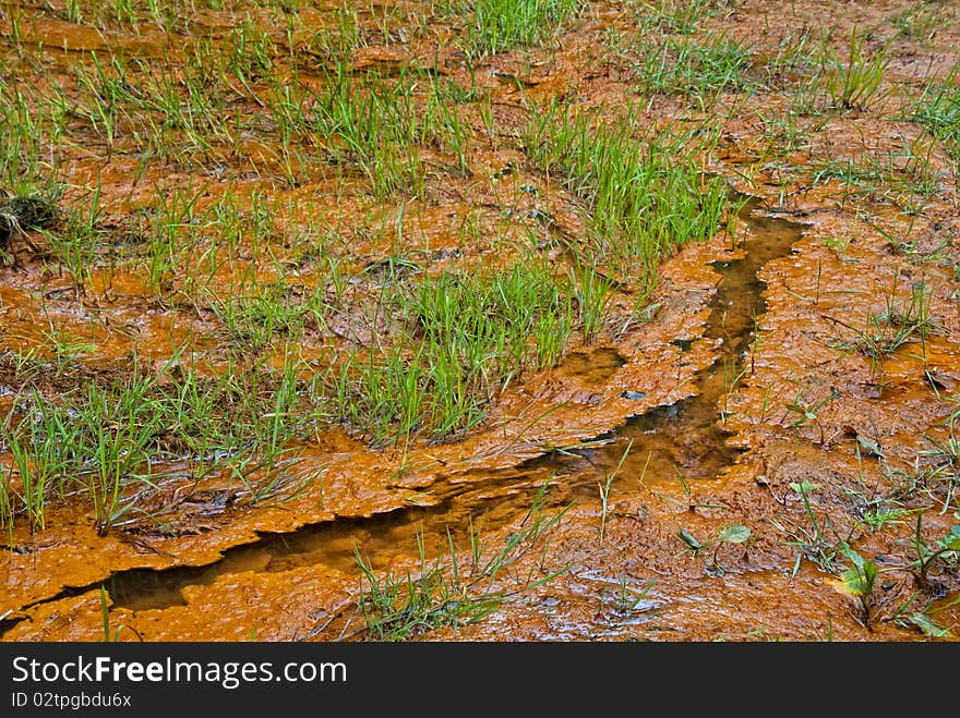 Iron saturated creek in a mining area