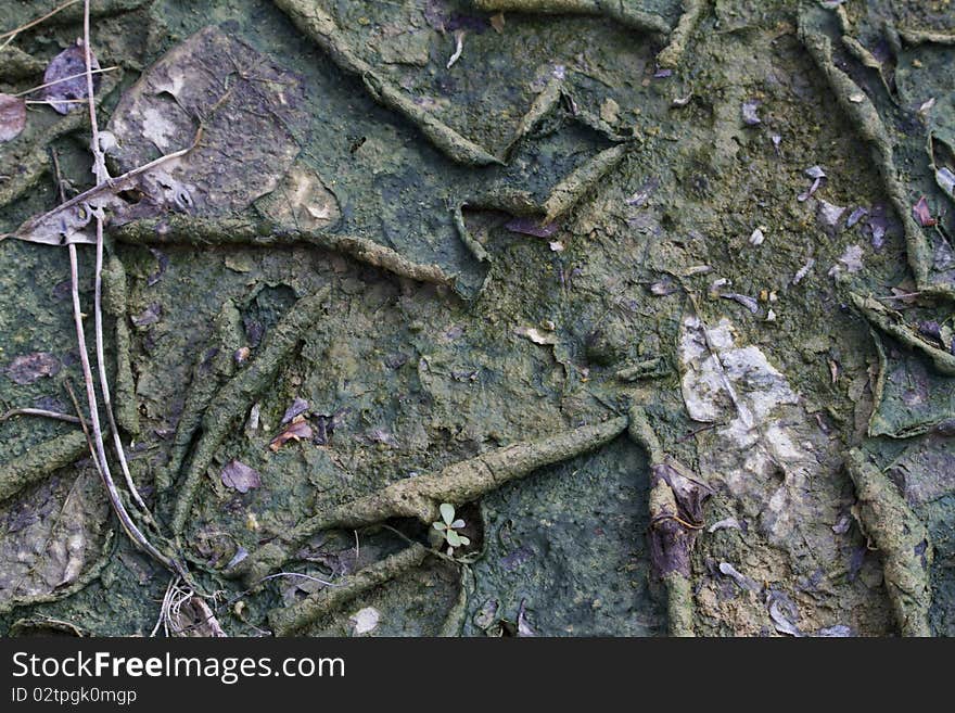 Texture of mud floor, dirty, wet, muddy